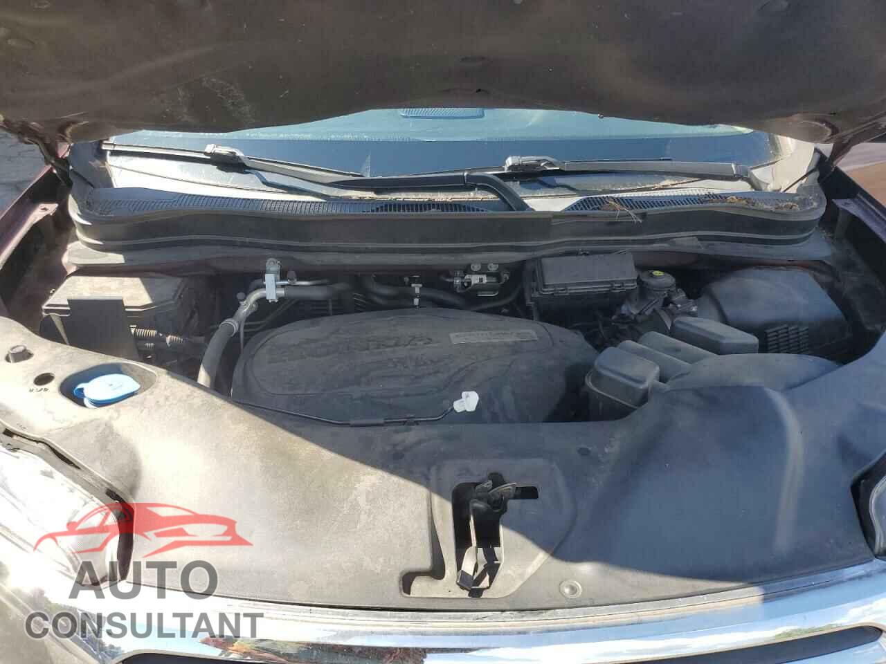 HONDA RIDGELINE 2019 - 5FPYK3F79KB006975