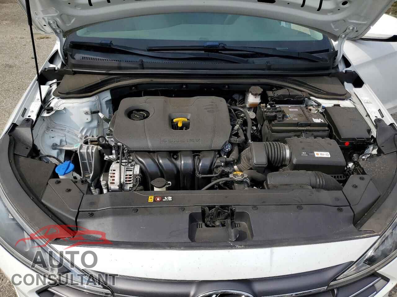 HYUNDAI ELANTRA 2019 - 5NPD74LF3KH453121
