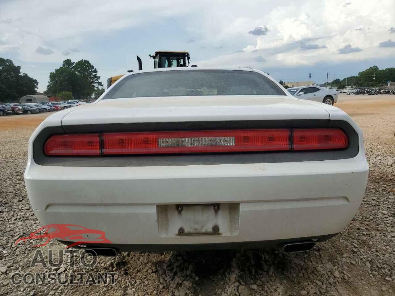 DODGE CHALLENGER 2013 - 2C3CDYAG3DH517830