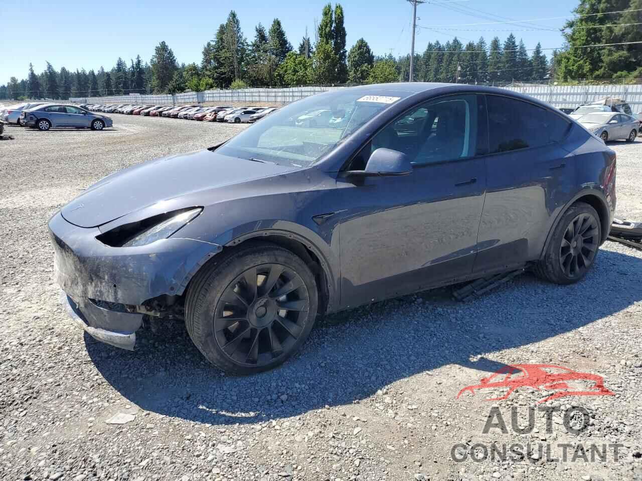TESLA MODEL Y 2022 - 7SAYGDEE7NF342227