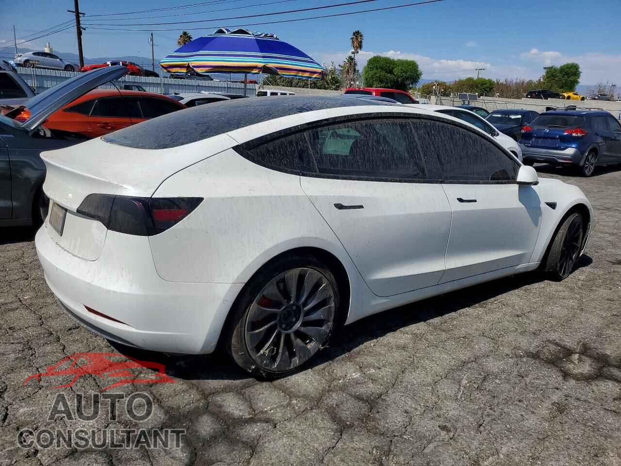 TESLA MODEL 3 2021 - 5YJ3E1ECXMF072225