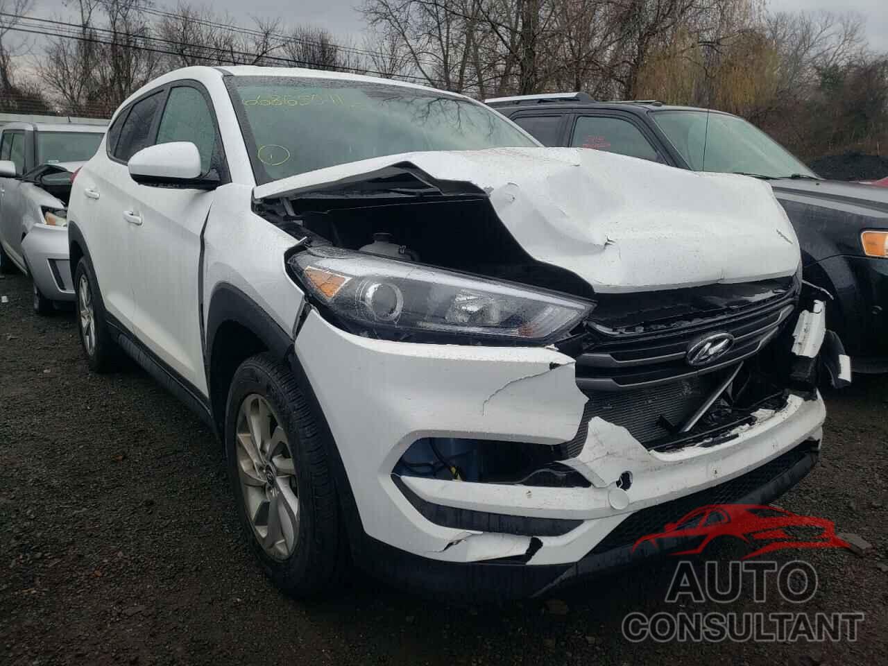 HYUNDAI TUCSON 2018 - KM8J2CA43JU824341