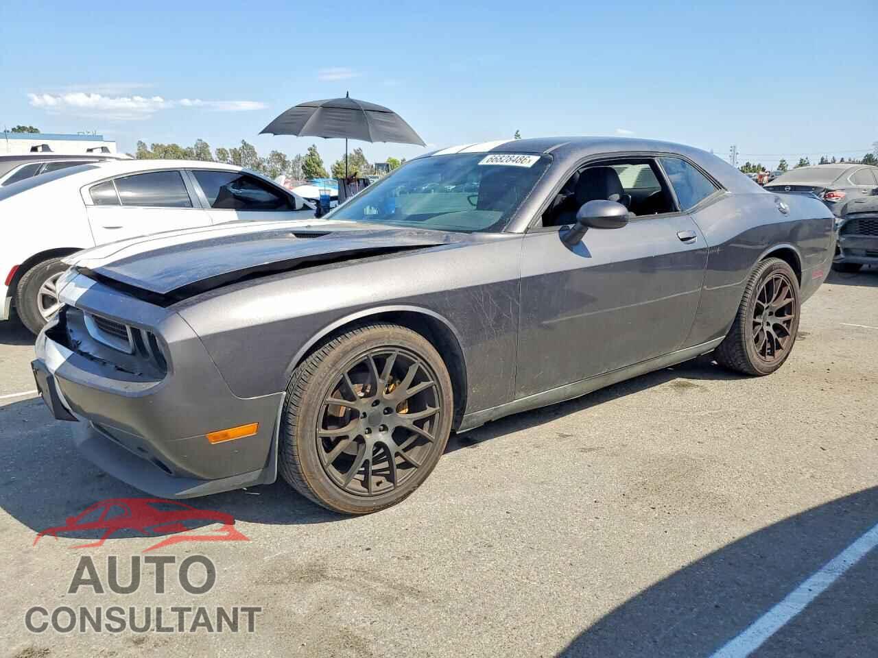 DODGE CHALLENGER 2013 - 2C3CDYAG4DH553669