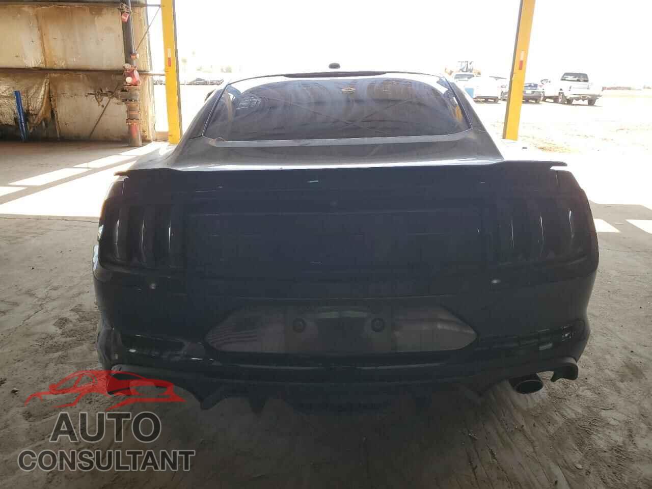 FORD MUSTANG 2019 - 1FA6P8CF8K5117762