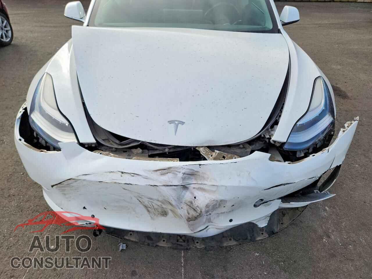TESLA MODEL 3 2019 - 5YJ3E1EA6KF299763