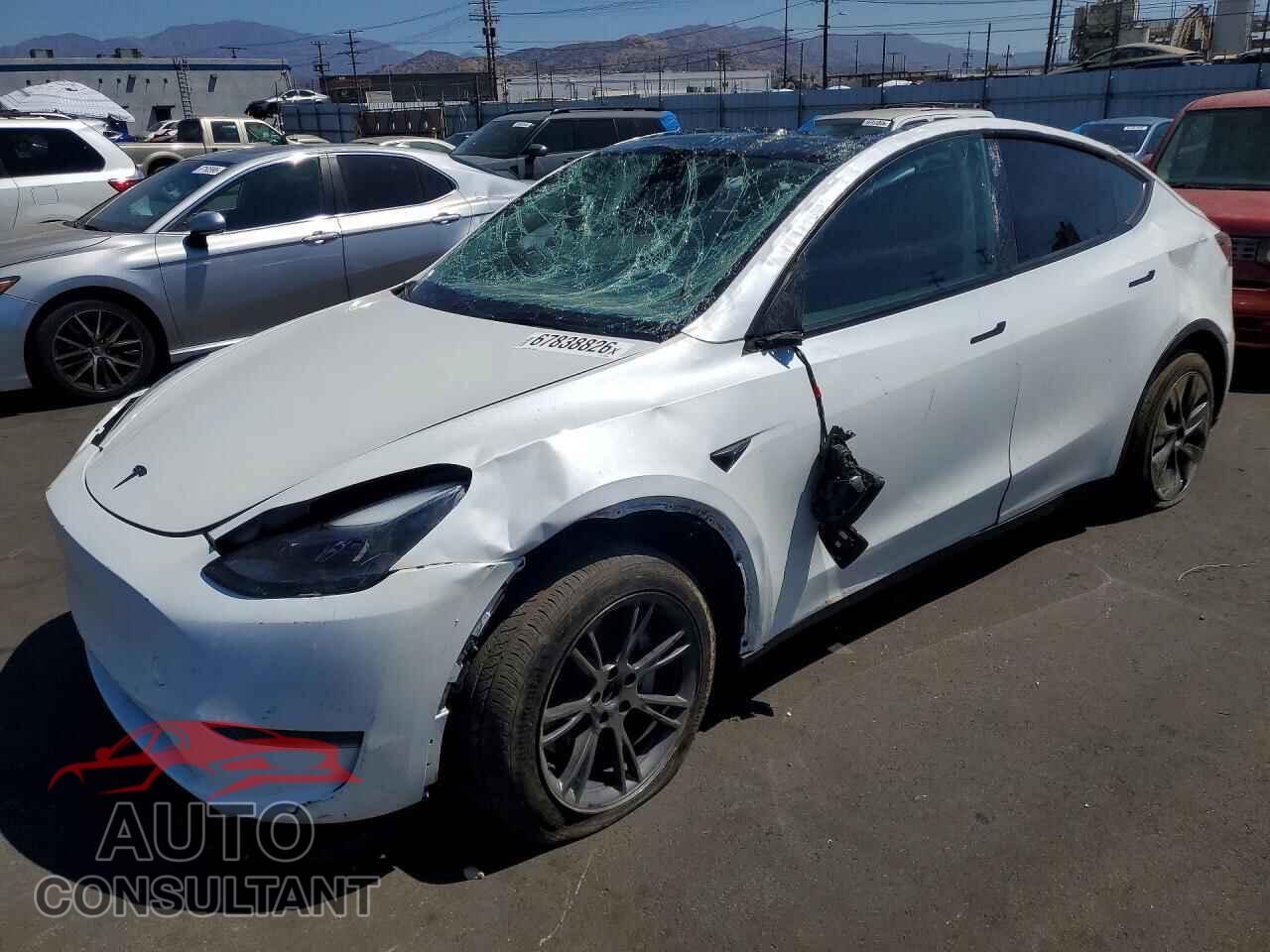 TESLA MODEL Y 2024 - 7SAYGDED5RF182703