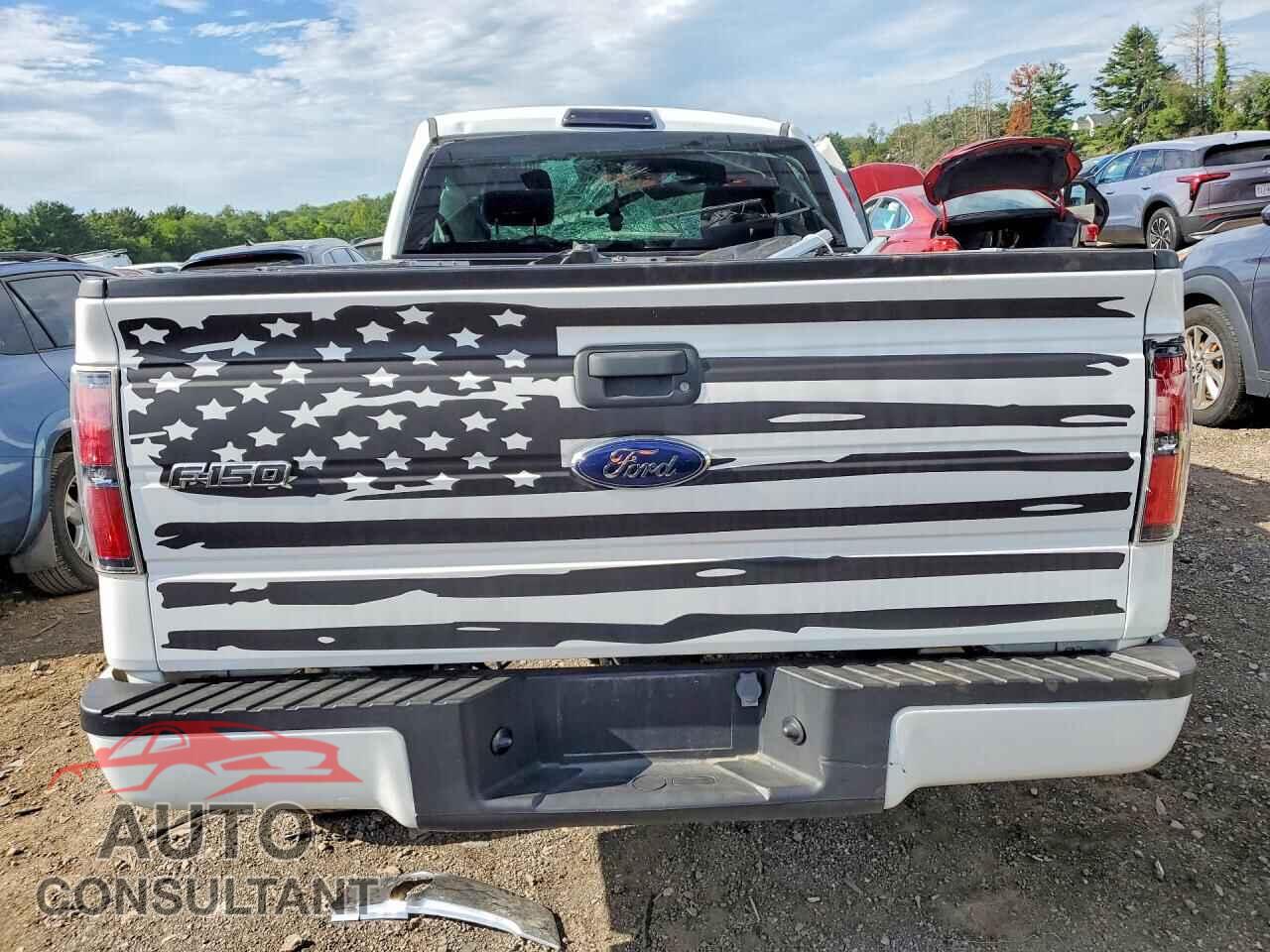 FORD F150 2012 - 1FTMF1EF9CFA91760