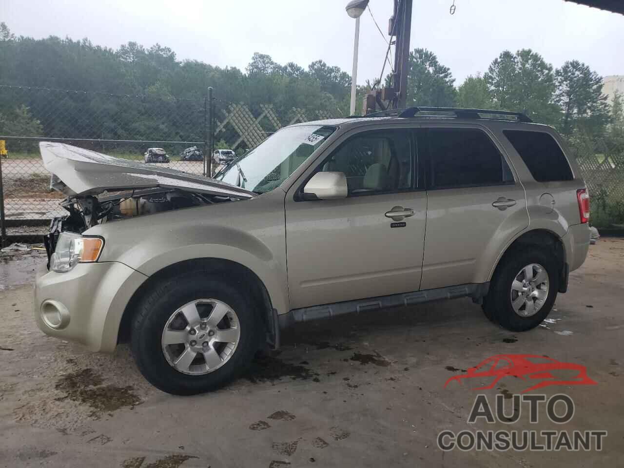FORD ESCAPE 2011 - 1FMCU9E7XBKA03776
