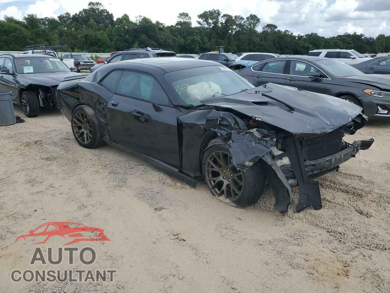 DODGE CHALLENGER 2013 - 2C3CDYAG7DH734202