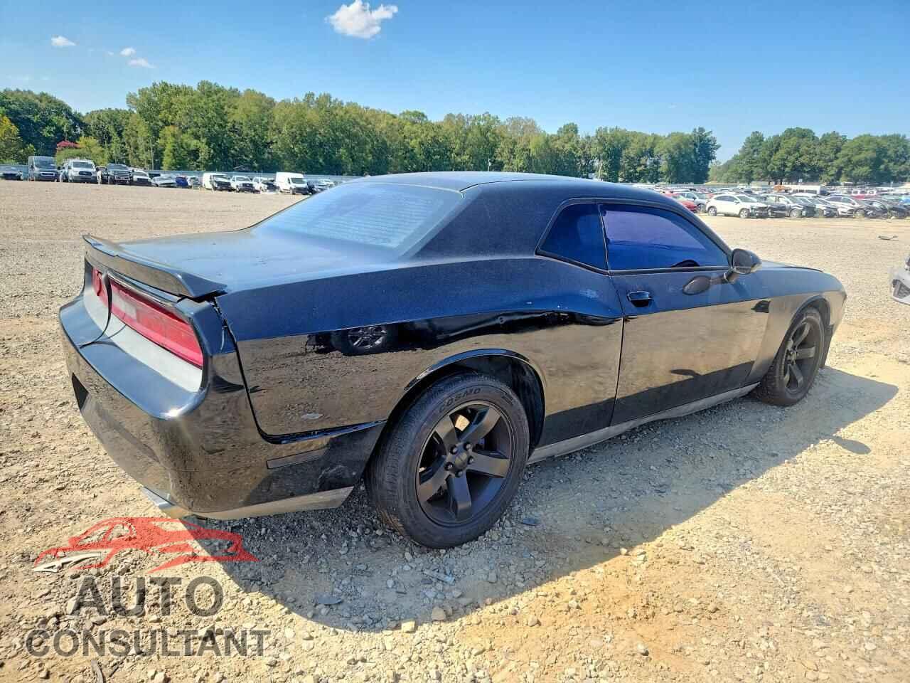 DODGE CHALLENGER 2013 - 2C3CDYAG8DH607474