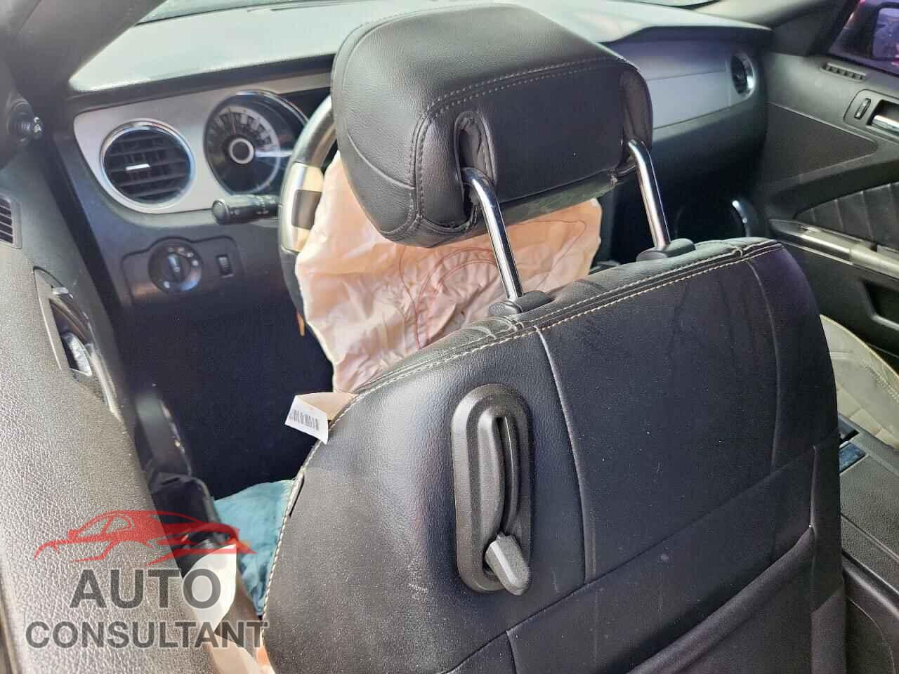 FORD MUSTANG 2013 - 1ZVBP8CF3D5202369