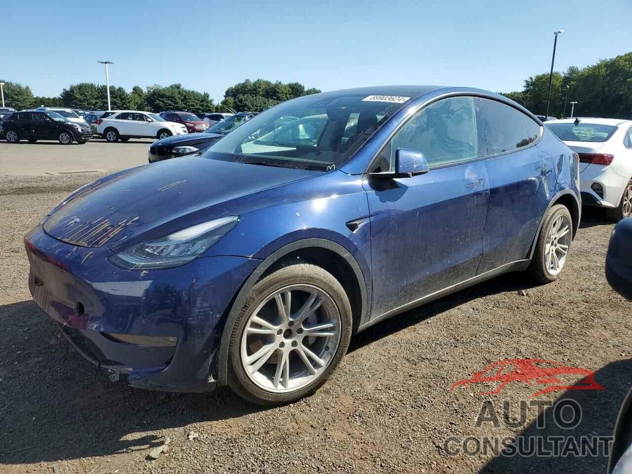 TESLA MODEL Y 2022 - 7SAYGDEE1NF318022