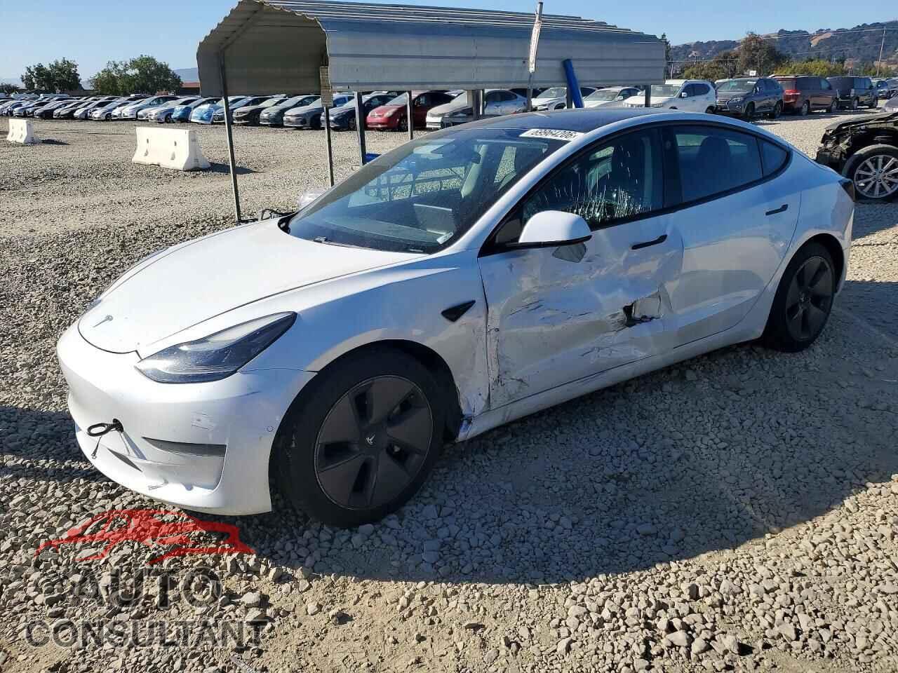 TESLA MODEL 3 2021 - 5YJ3E1EA2MF074923