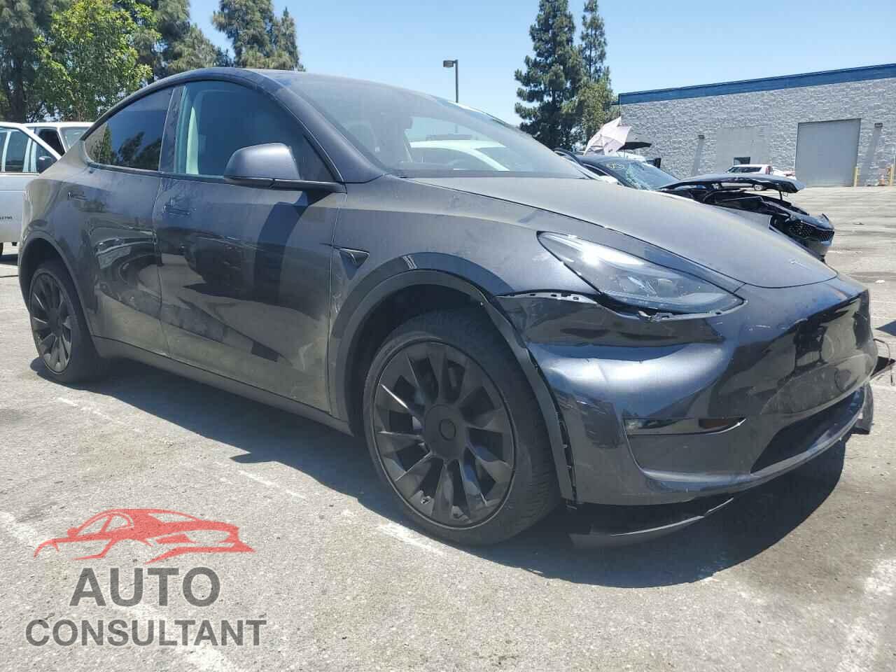 TESLA MODEL Y 2024 - 7SAYGDEE3RF003440