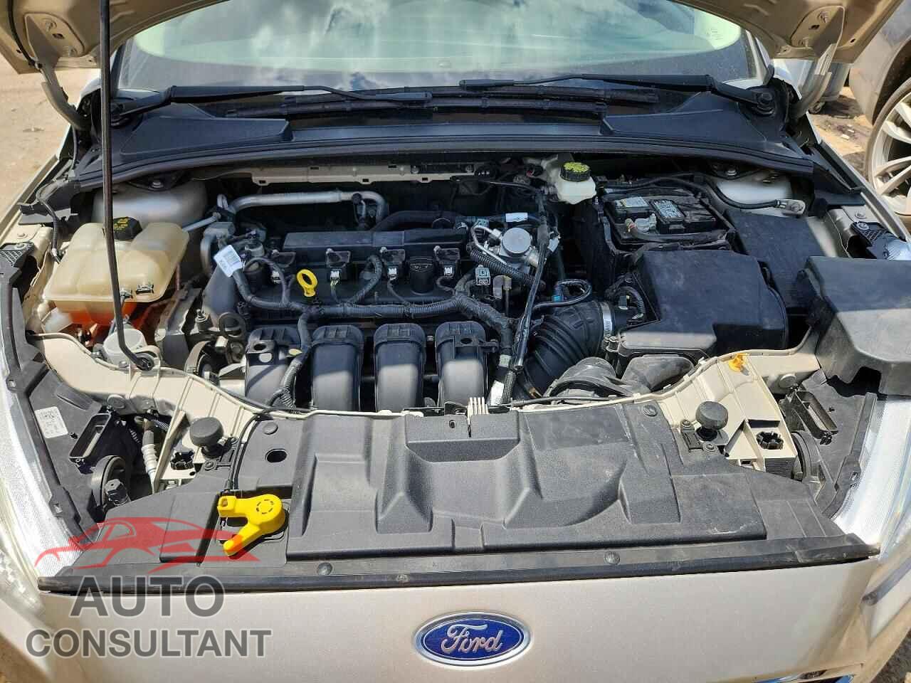 FORD FOCUS 2017 - 1FADP3F24HL219549