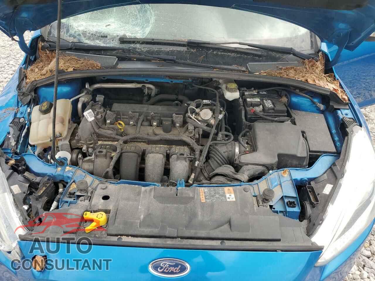 FORD FOCUS 2017 - 1FADP3K28HL210133