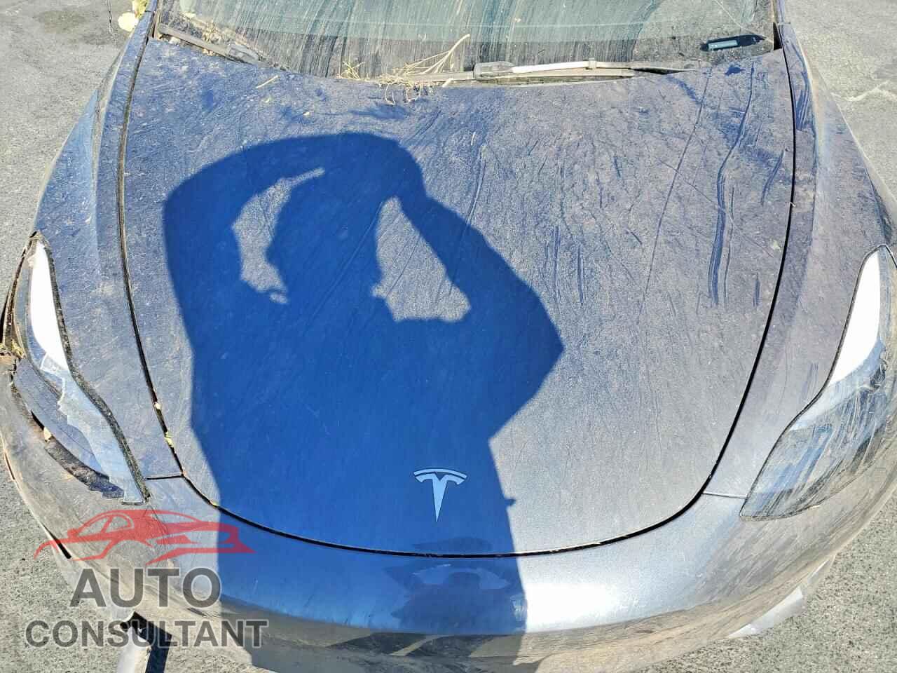 TESLA MODEL 3 2023 - 5YJ3E1EA0PF712509
