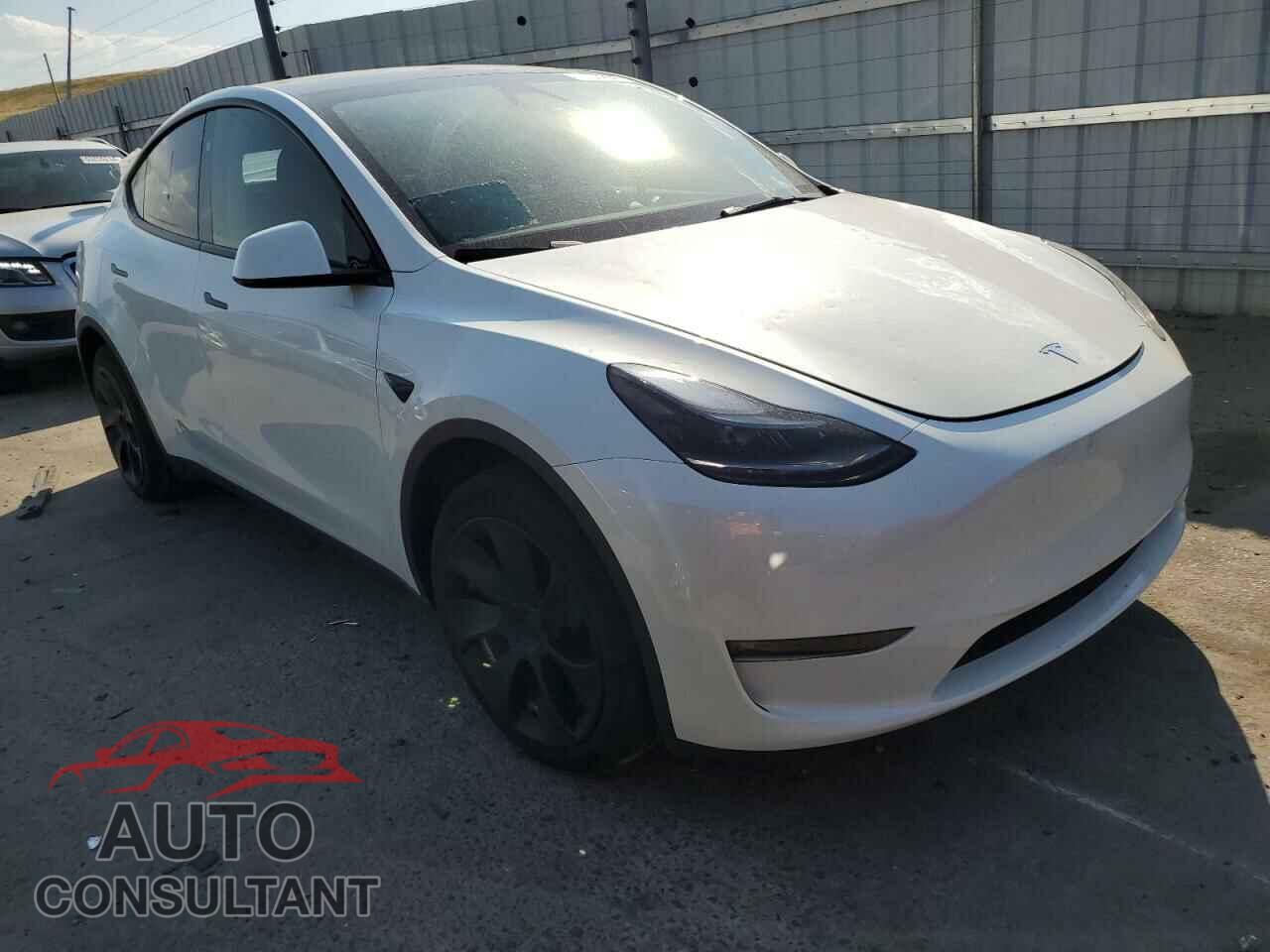 TESLA MODEL Y 2024 - 7SAYGAEE5RF048653