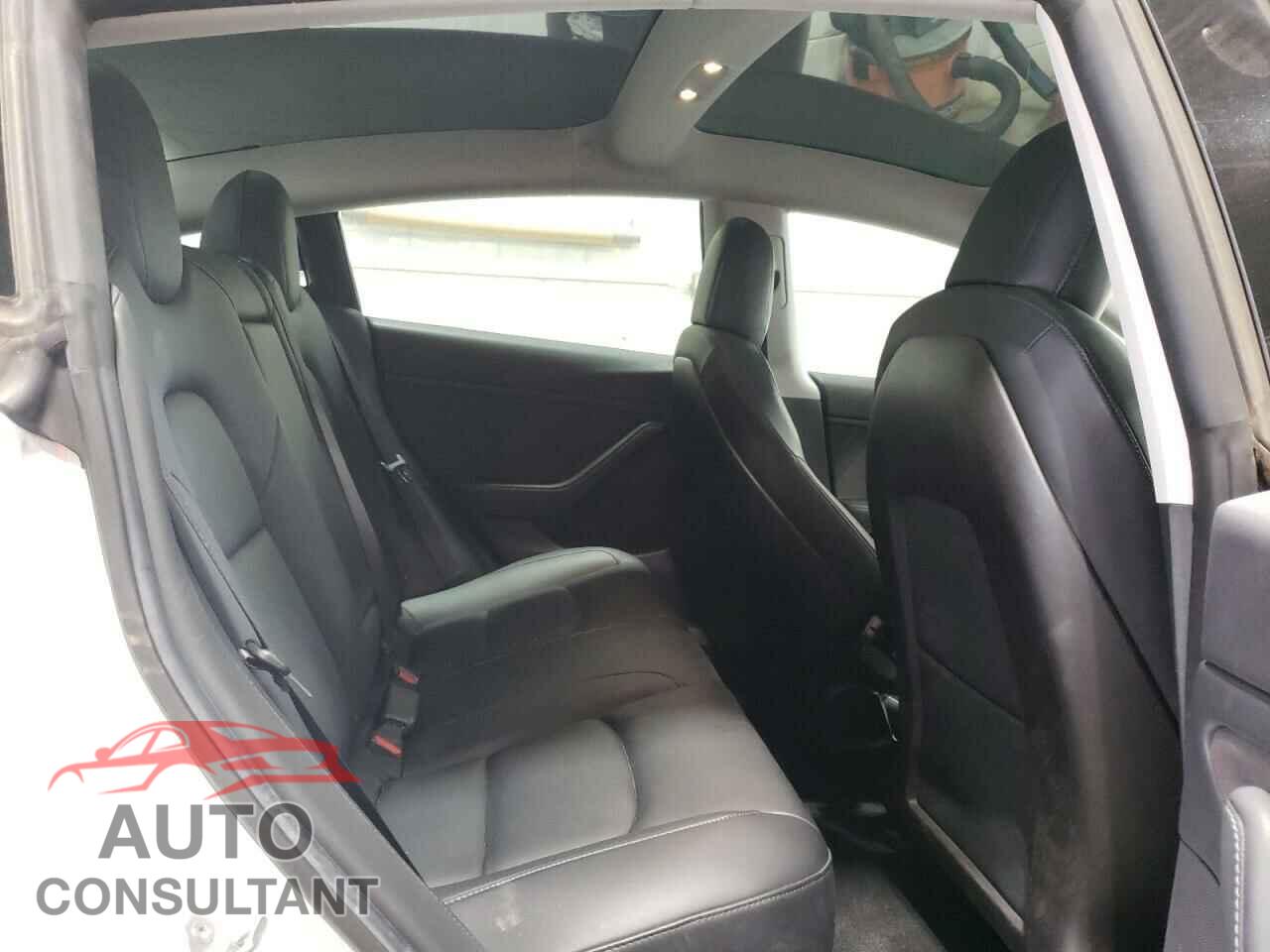 TESLA MODEL 3 2019 - 5YJ3E1EB1KF393252