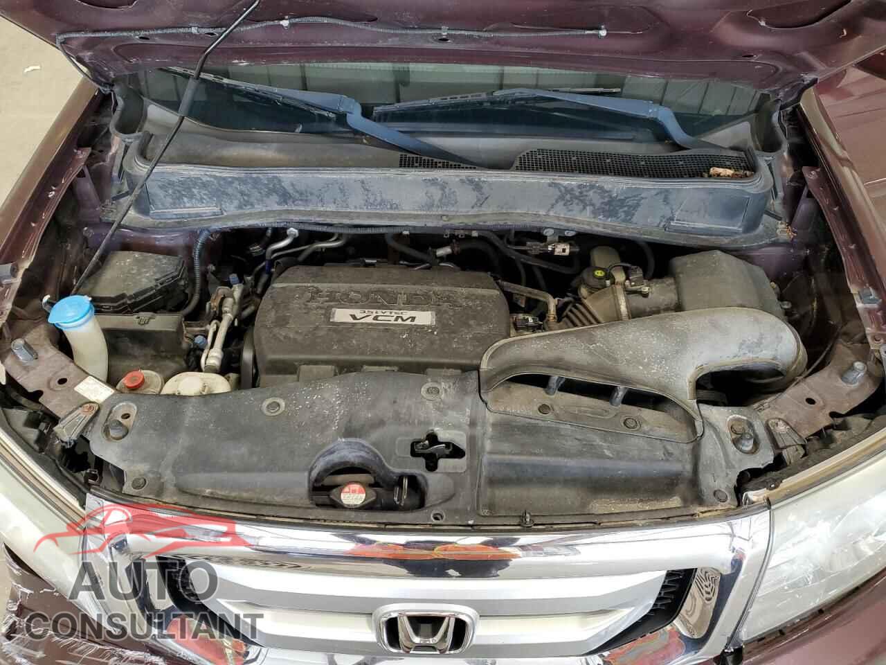 HONDA PILOT 2009 - 5FNYF48559B056524