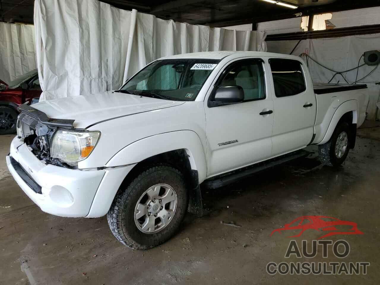 TOYOTA TACOMA 2009 - 3TMMU52N89M013035