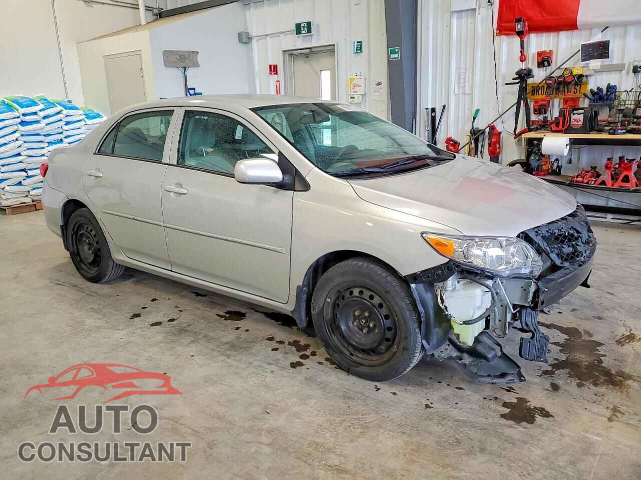 TOYOTA COROLLA 2011 - 2T1BU4EEXBC673797