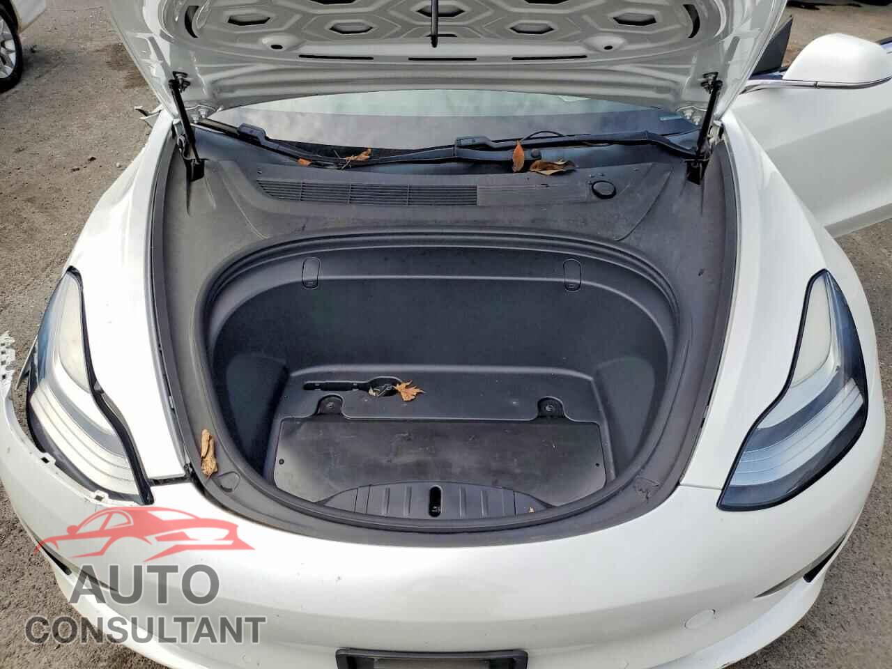 TESLA MODEL 3 2019 - 5YJ3E1EA6KF302080