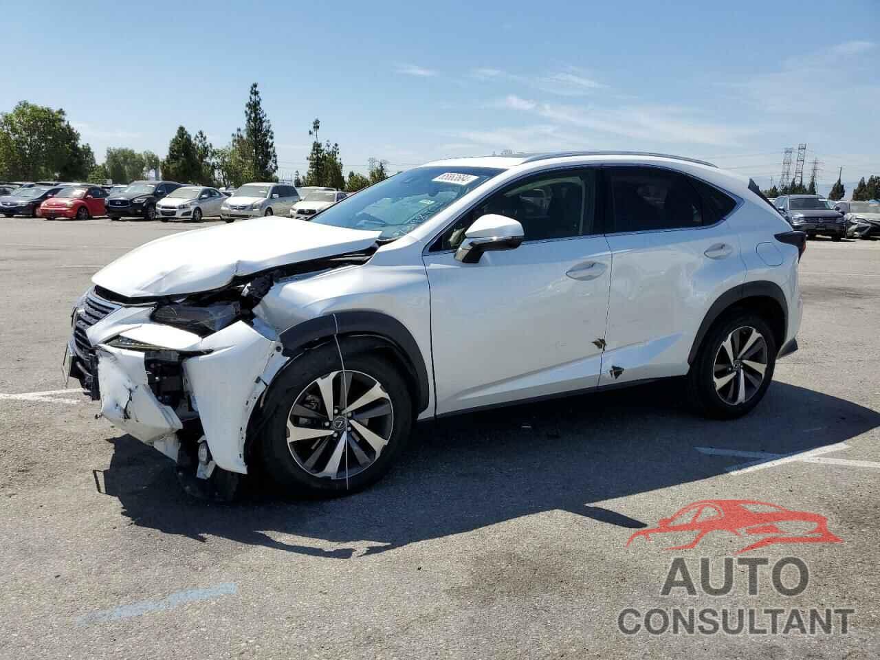 LEXUS NX 2019 - JTJYARBZ1K2134262