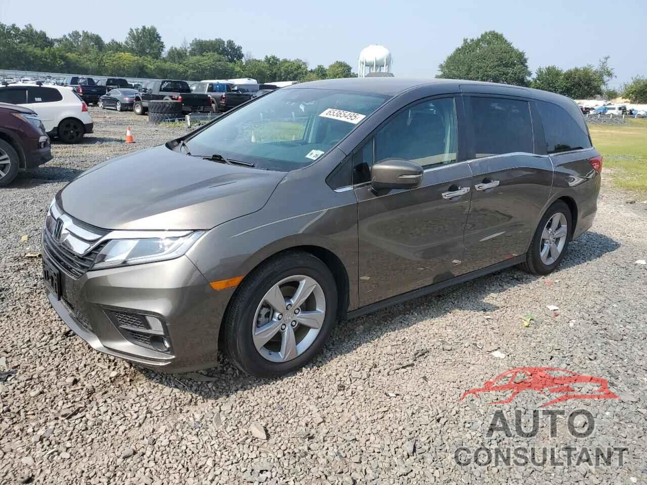 HONDA All Models 2020 - 5FNRL6H59LB069843