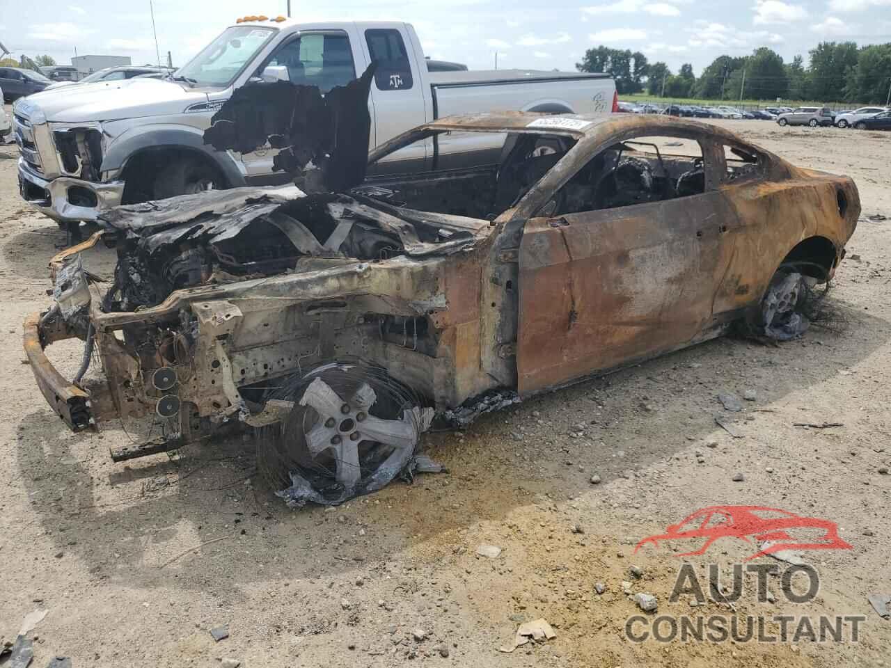 FORD MUSTANG 2020 - 1FA6P8K04L5583106