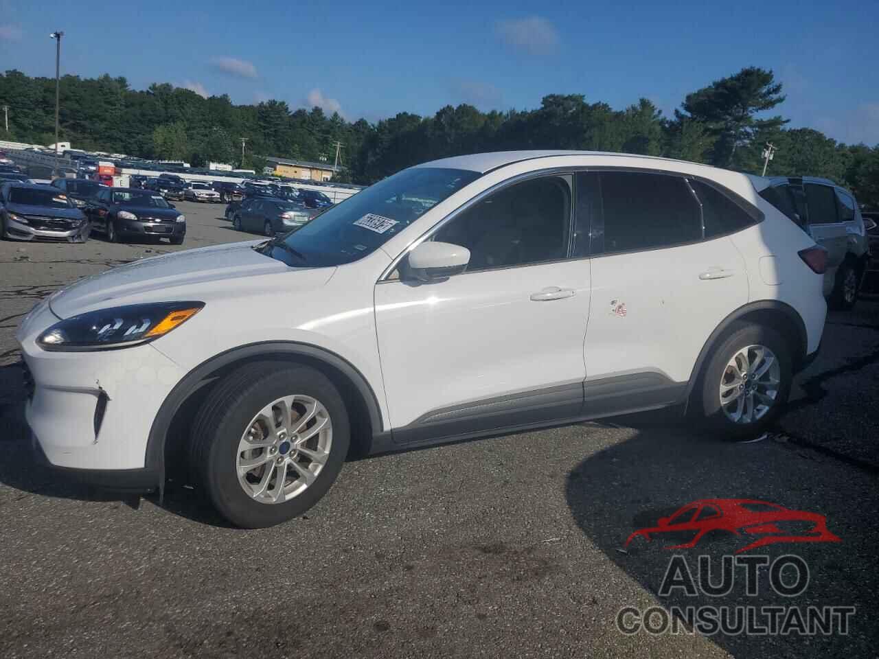 FORD ESCAPE 2020 - 1FMCU0G61LUB43365