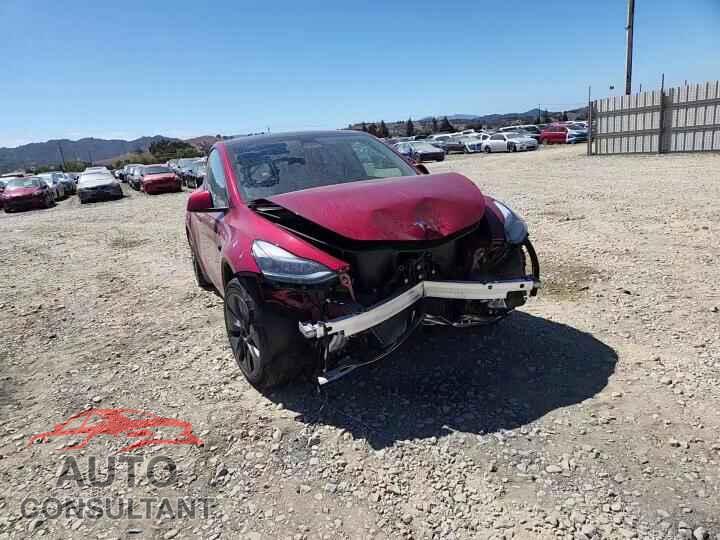 TESLA MODEL Y 2024 - 7SAYGAEE3RF163560