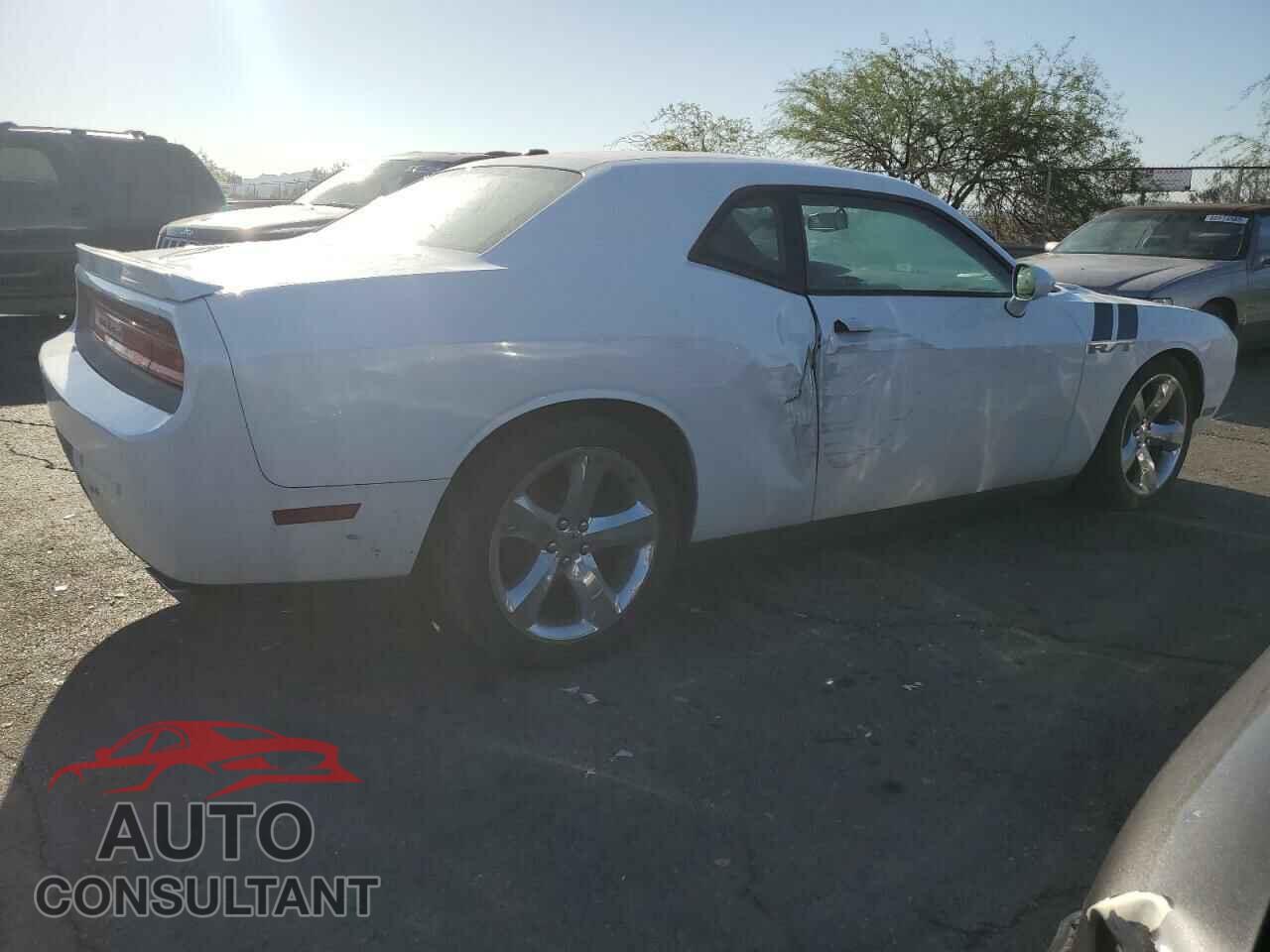 DODGE CHALLENGER 2013 - 2C3CDYBT7DH611320