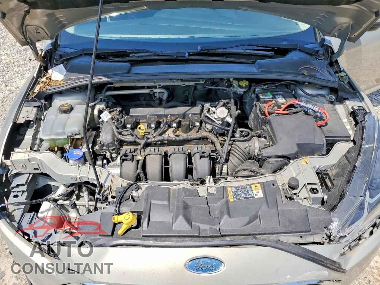 FORD FOCUS 2016 - 1FADP3F23GL390968