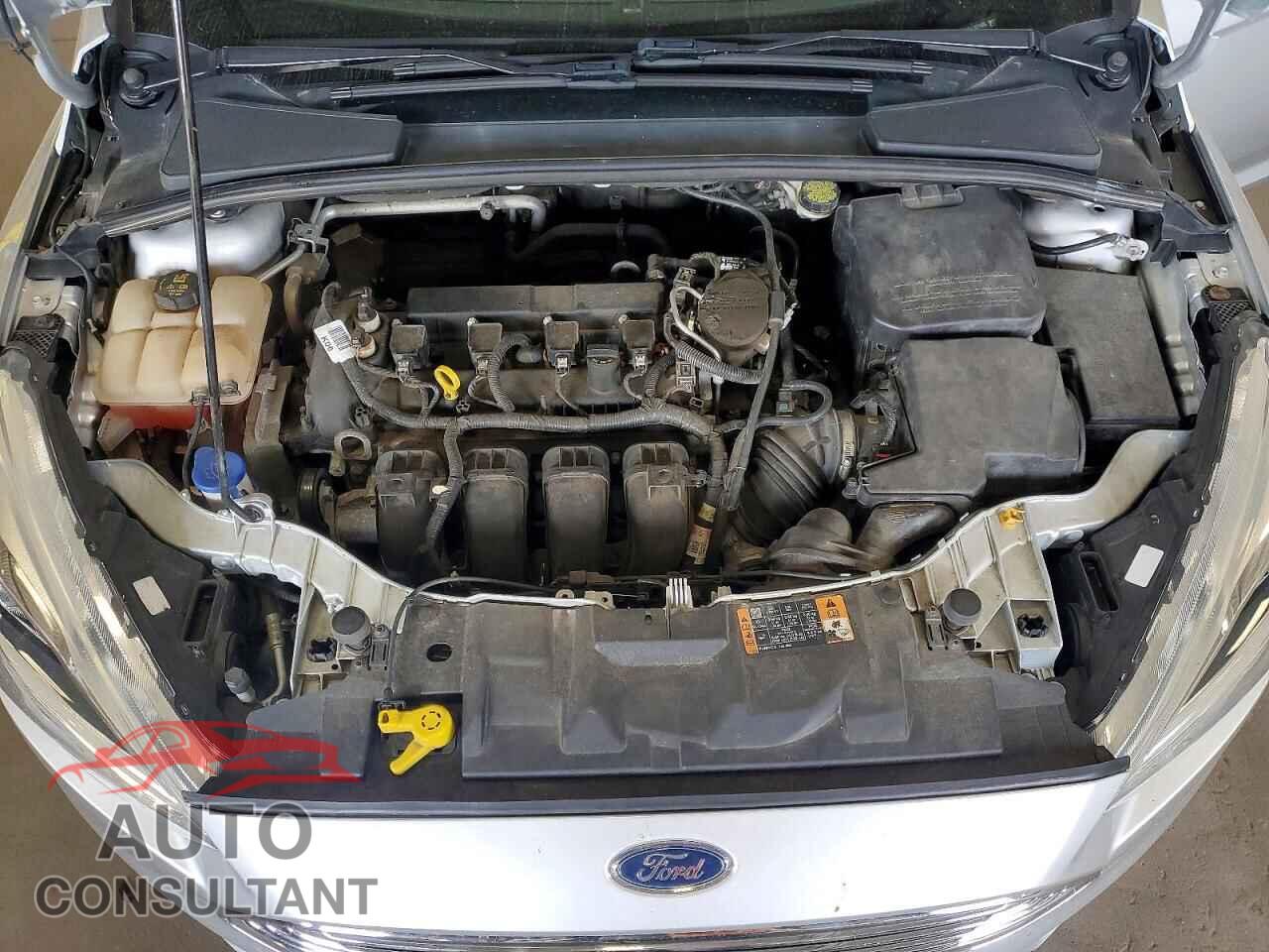 FORD FOCUS 2016 - 1FADP3N20GL307465