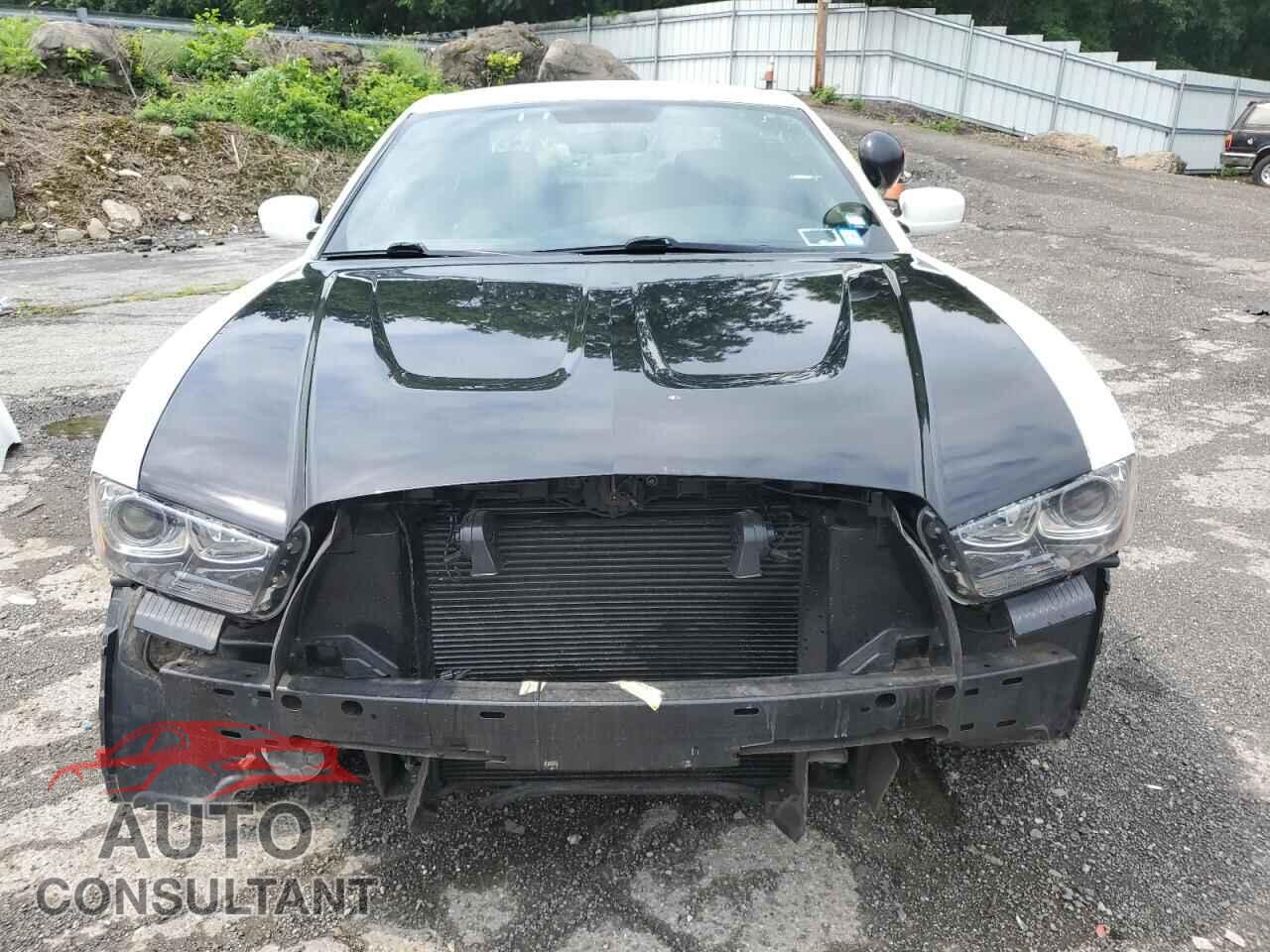 DODGE CHARGER 2012 - 2C3CDXAT3CH190593