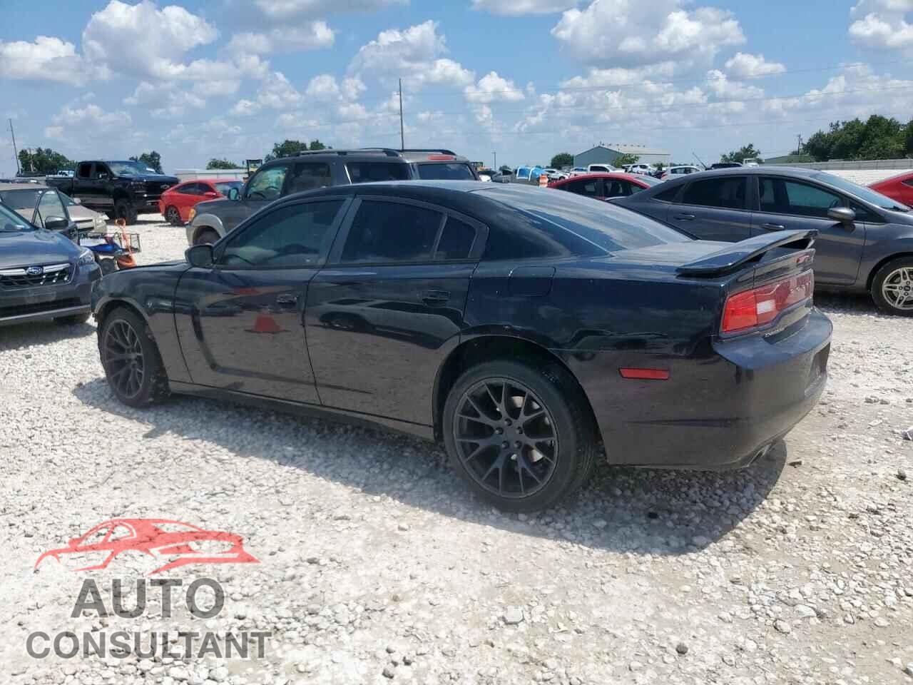 DODGE CHARGER 2014 - 2C3CDXHG2EH185770