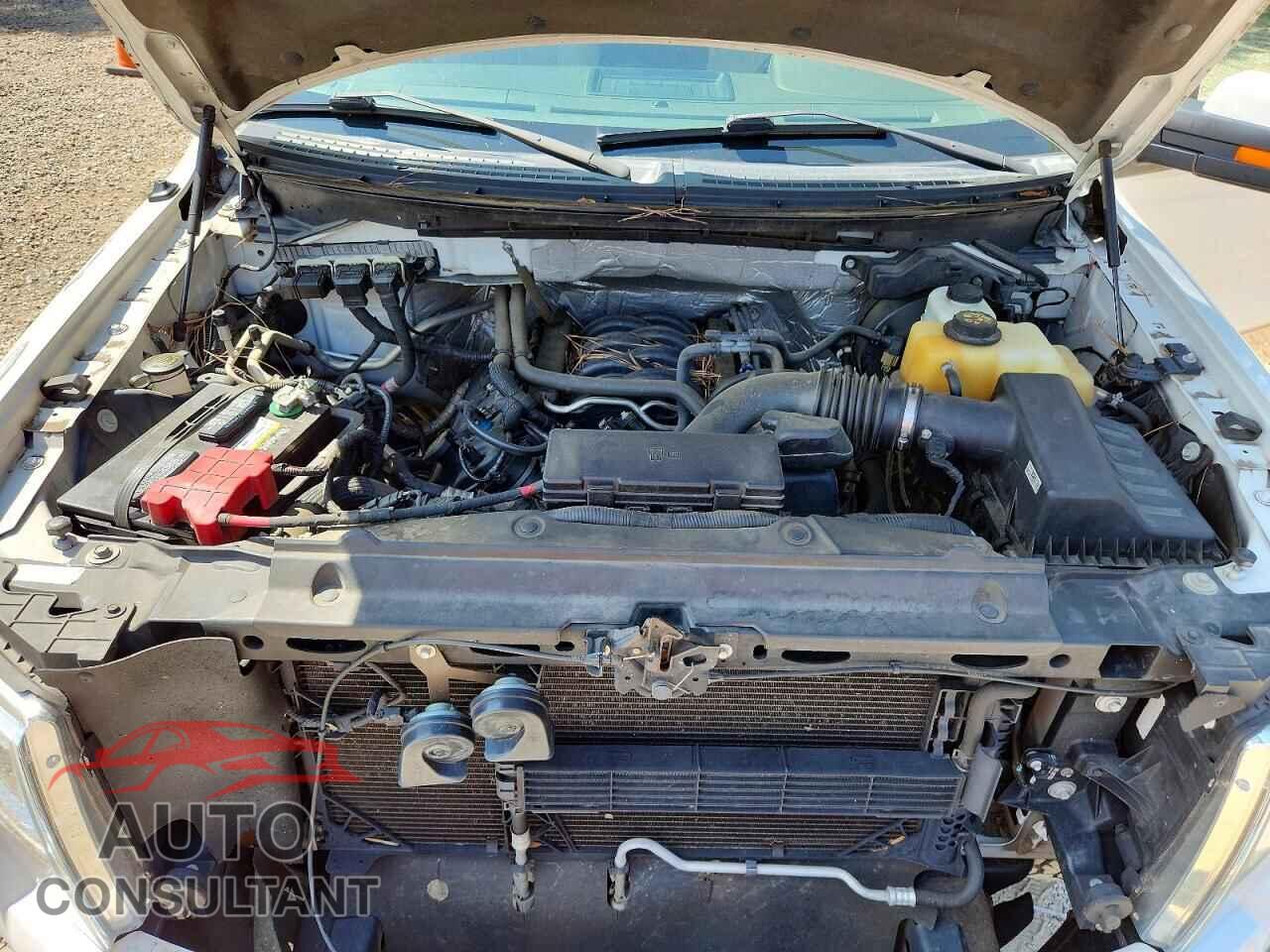 FORD F150 2013 - 1FTFW1EF4DFD00011