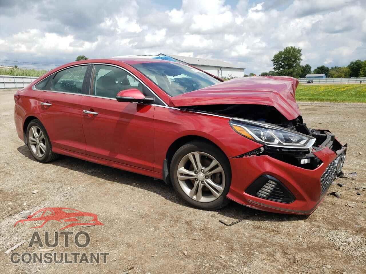 HYUNDAI SONATA 2019 - 5NPE34AF2KH811229