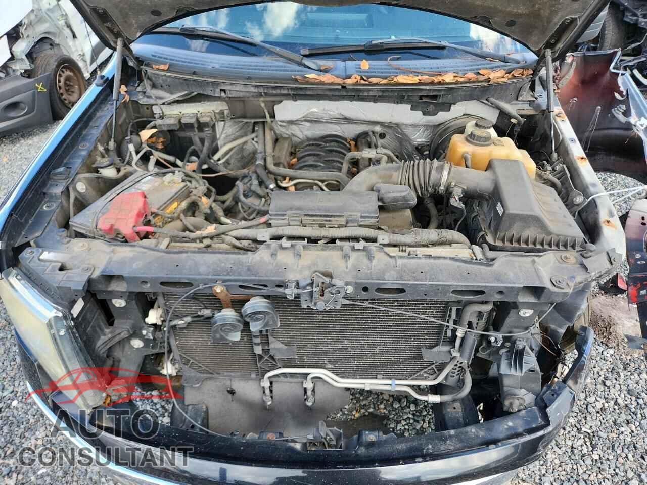 FORD F150 2013 - 1FTFW1CF4DFD42164