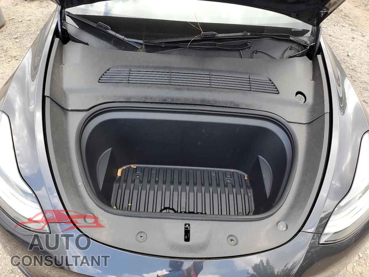 TESLA MODEL Y 2024 - 7SAYGAEE3RF017742