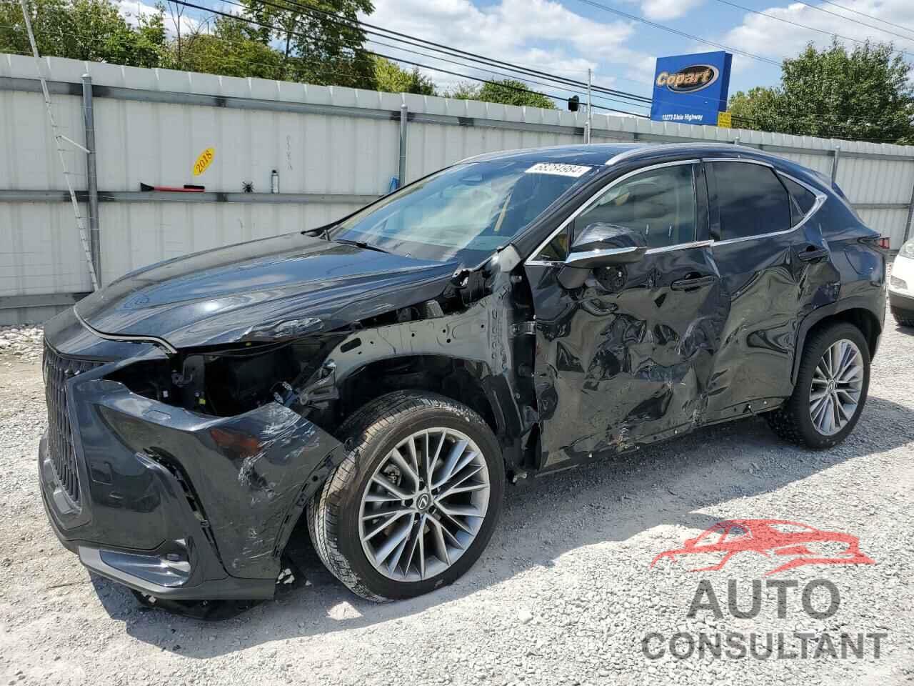 LEXUS NX 350H 2023 - 2T2HKCEZ6PC014048