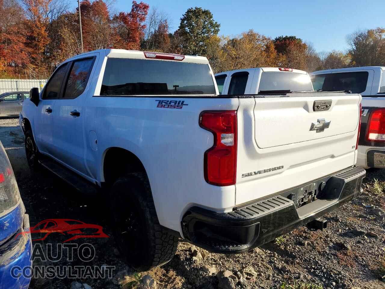 CHEVROLET SILVERADO 2023 - 3GCPDFEK6PG211211