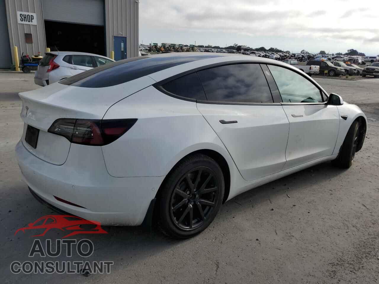 TESLA MODEL 3 2019 - 5YJ3E1EA3KF401553