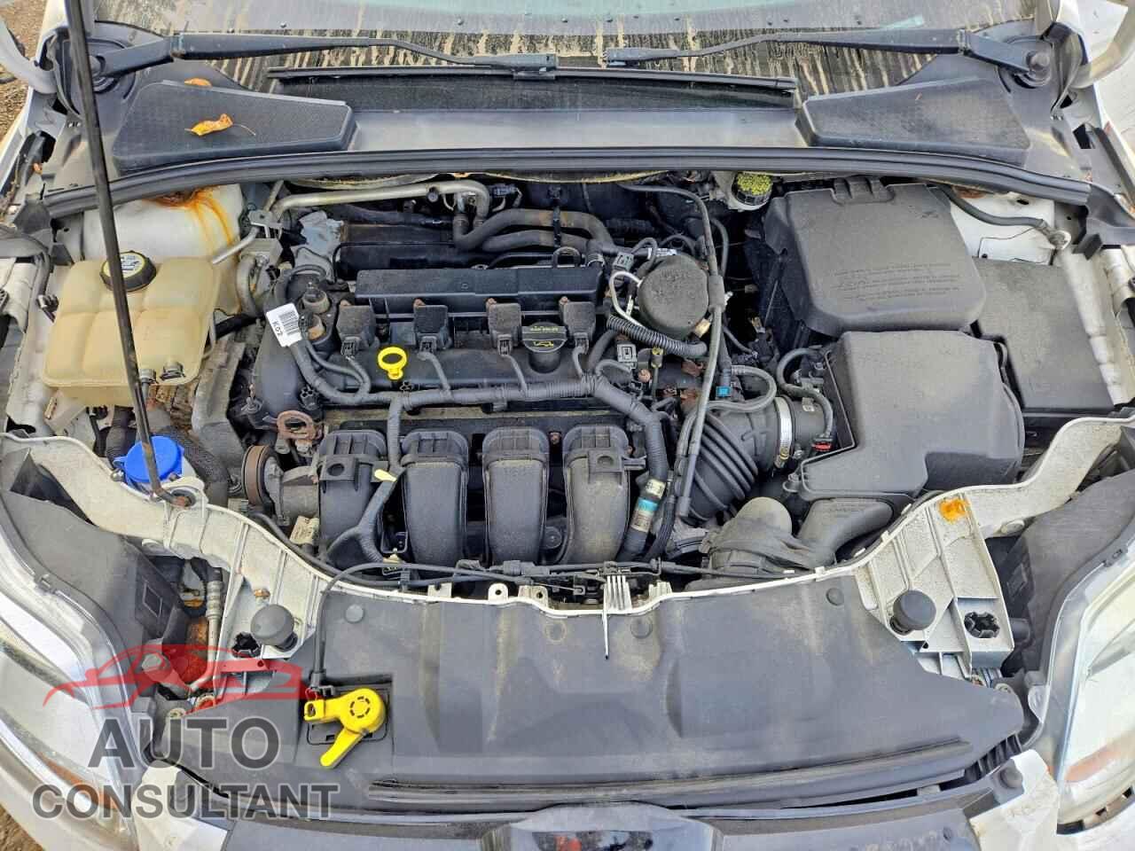 FORD FOCUS 2012 - 1FAHP3H28CL388903