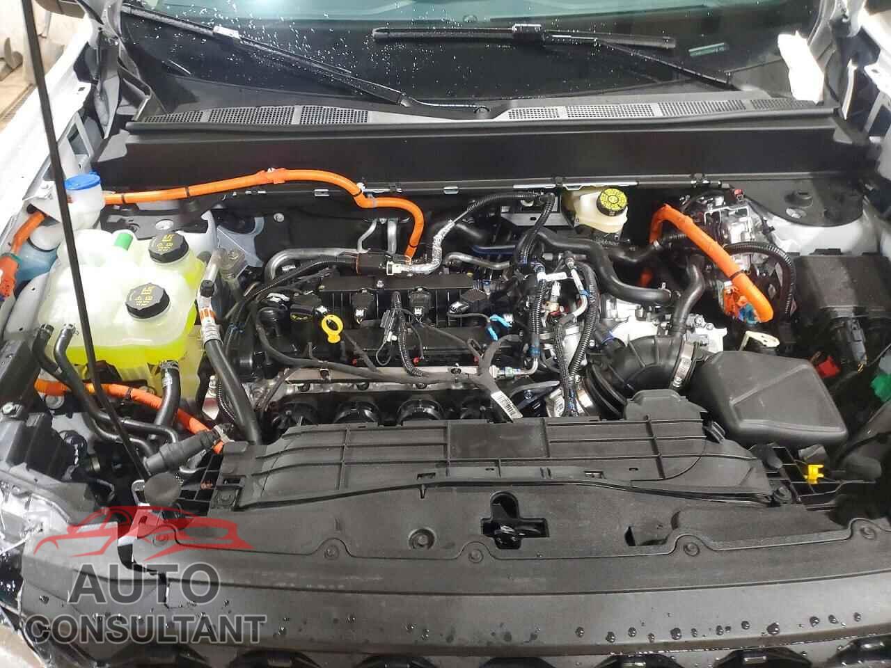 FORD MAVERICK 2026 - 3FTTW8B3XTRB06462