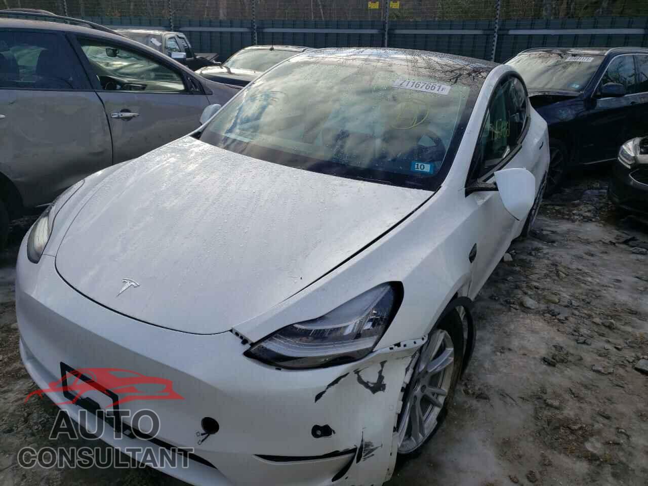 TESLA MODEL Y 2021 - 5YJYGDEEXMF064483