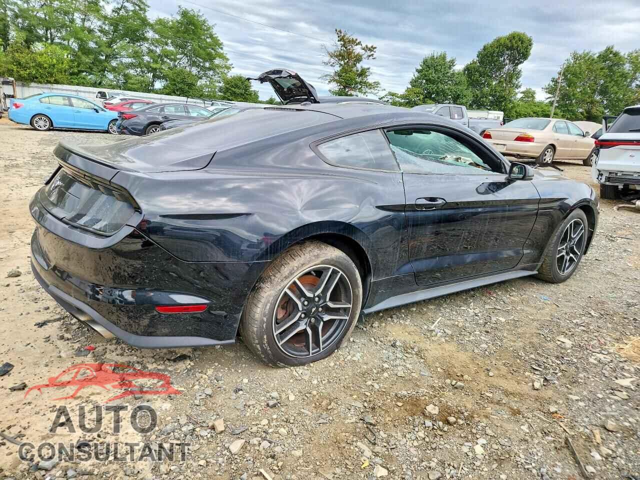FORD MUSTANG 2019 - 1FA6P8THXK5189872