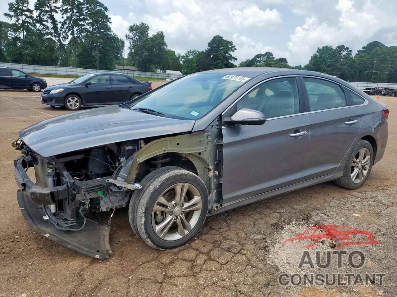HYUNDAI SONATA 2019 - 5NPE34AF1KH739505