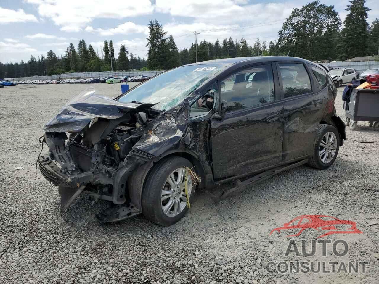 HONDA FIT 2009 - JHMGE884X9C004010